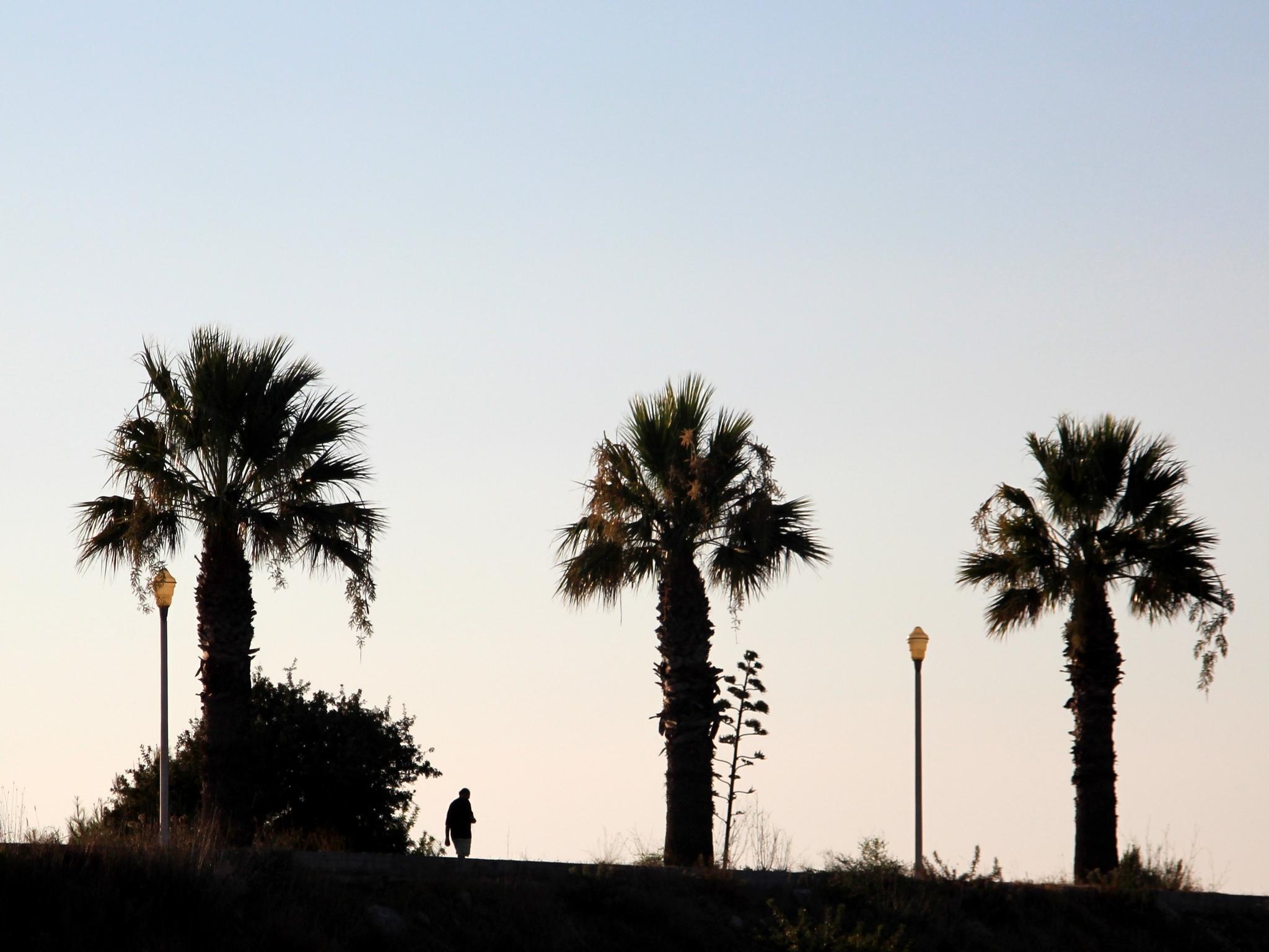 Athineon Hotel Rhodes City Dış mekan fotoğraf